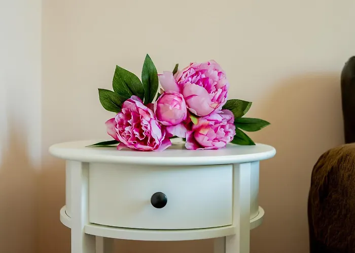 ваканционен делфин 14 Dolphin 14 Kawarna