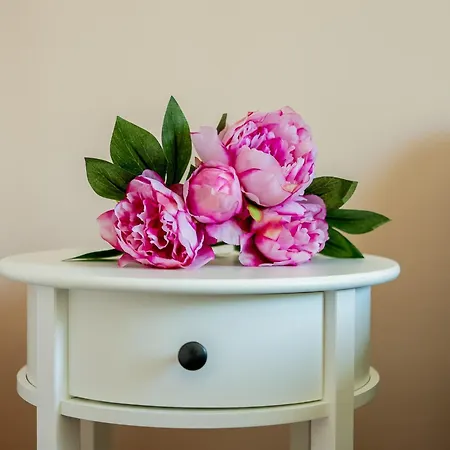 ваканционен делфин 14 Dolphin 14 Kavarna